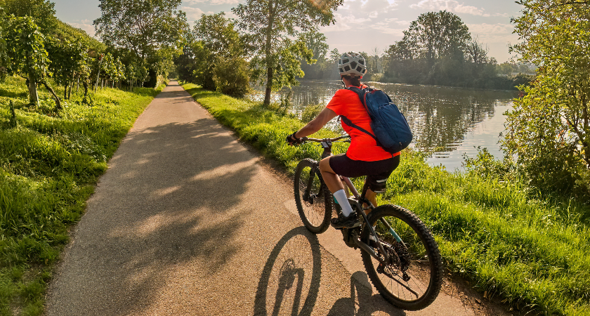 danube cycling