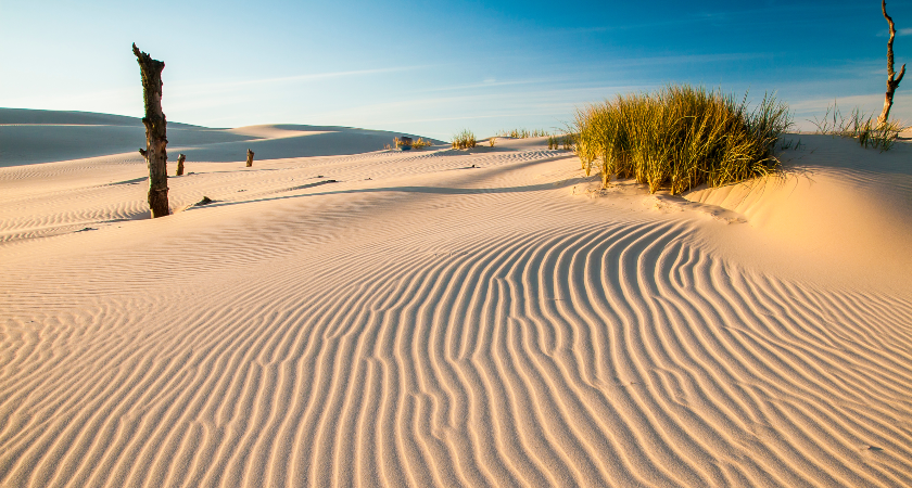 desert in poland