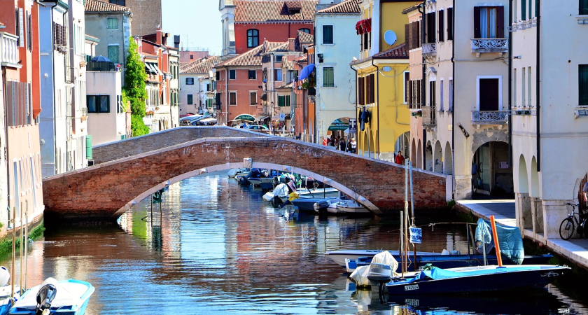 bridge and boats